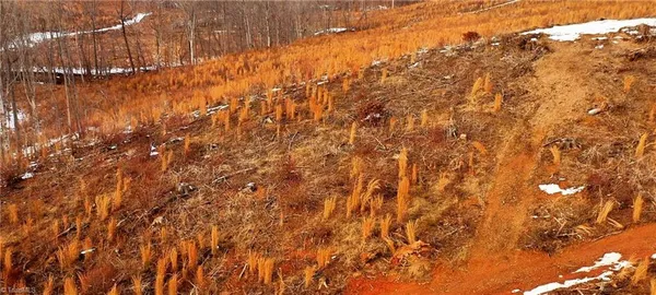 $89,900 | Lot 10 Skeens Mill Road, Trinity, NC 27370