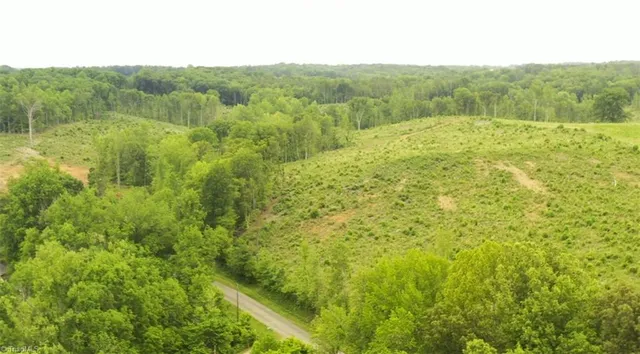 $109,900 | Lot 10 Skeens Mill Road, Trinity, NC 27370