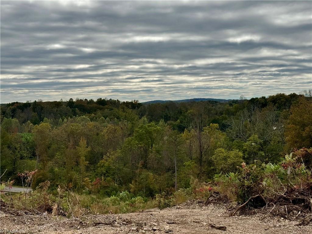 Lot 10 Skeens Mill Road Trinity, NC 27370 - Photo 9 of 26