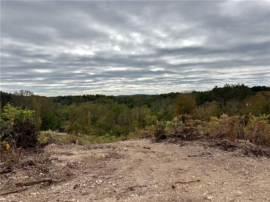 Lot 10 Skeens Mill Road Trinity, NC 27370 - Photo 10 of 26