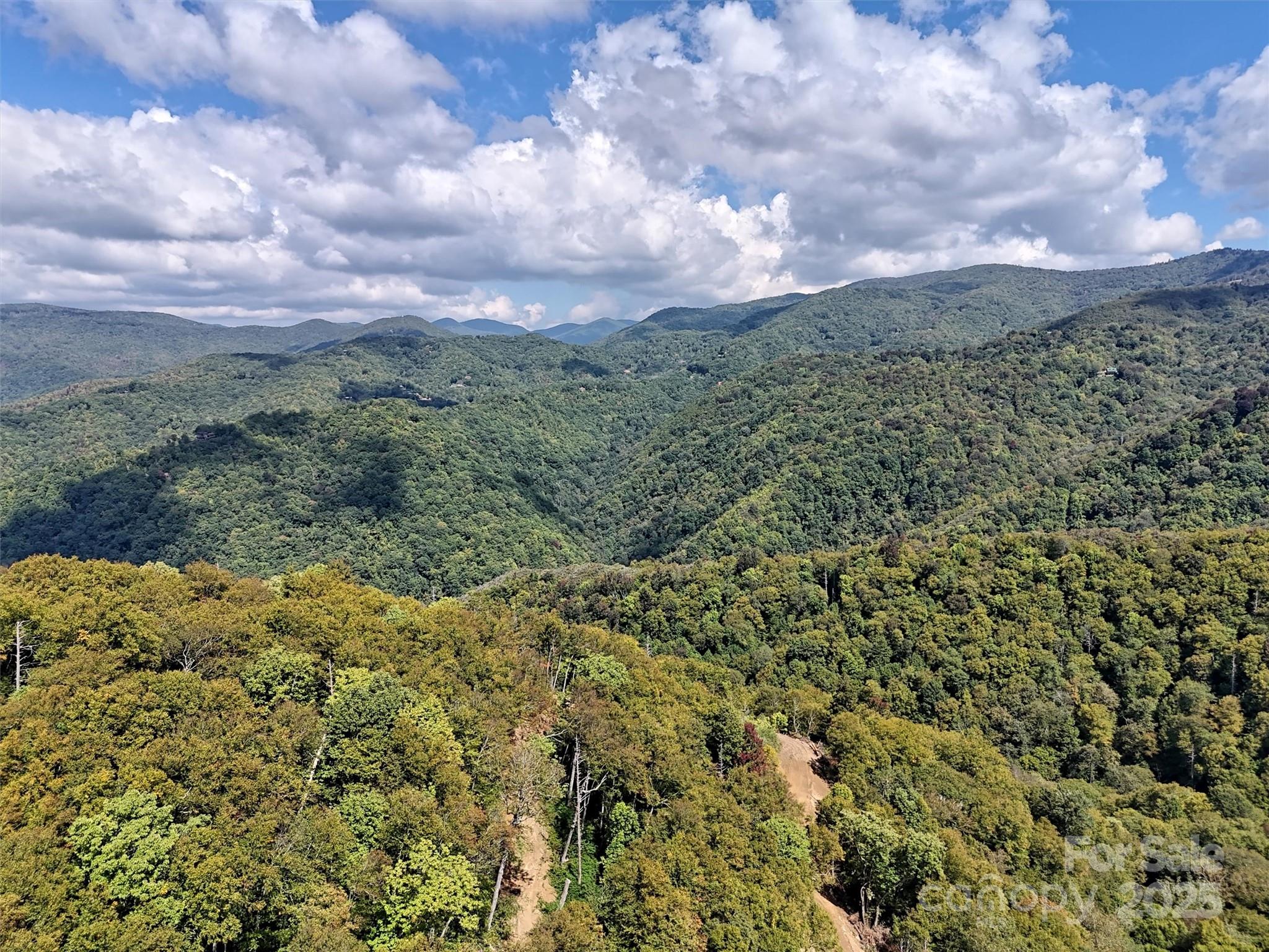 2 Black Rock Road Maggie Valley, NC 28751 - Photo 1 of 19 a view of a bunch of trees and bushes