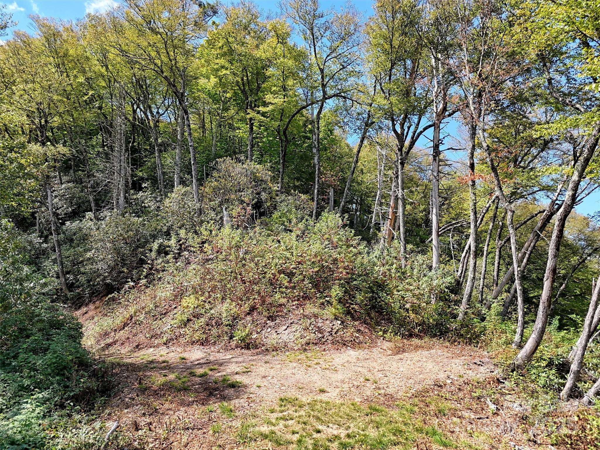 2 Black Rock Road Maggie Valley, NC 28751 - Photo 14 of 19 a view of a yard with plants and trees
