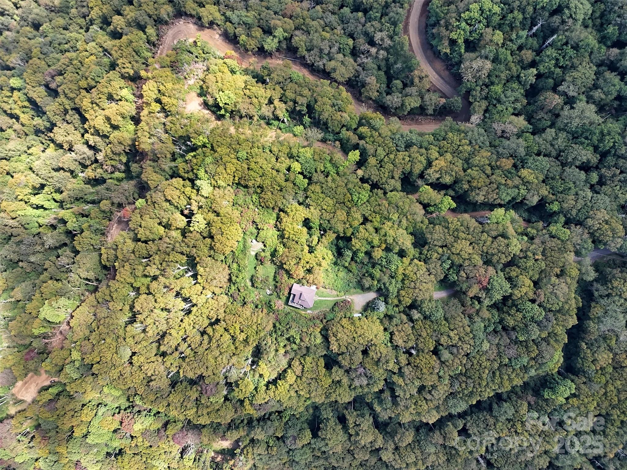 2 Black Rock Road Maggie Valley, NC 28751 - Photo 17 of 19 a view of a yard with a tree