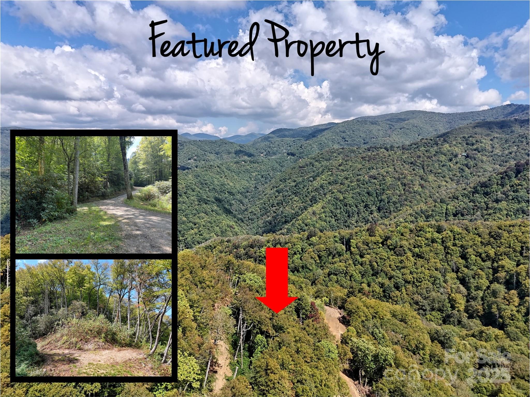 2 Black Rock Road Maggie Valley, NC 28751 - Photo 2 of 19 a view of a outdoor space