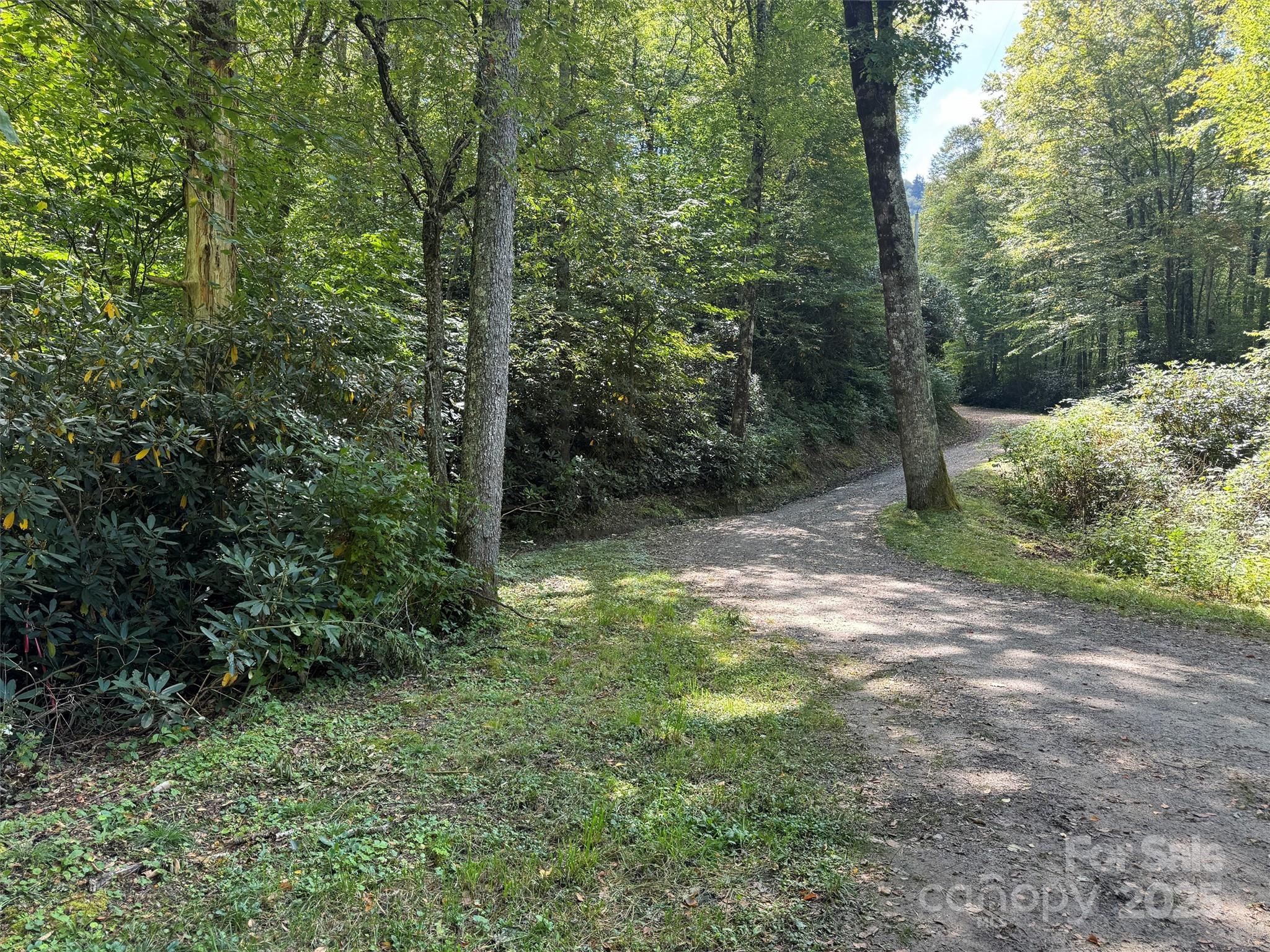 2 Black Rock Road Maggie Valley, NC 28751 - Photo 3 of 19 a view of a yard with a trees
