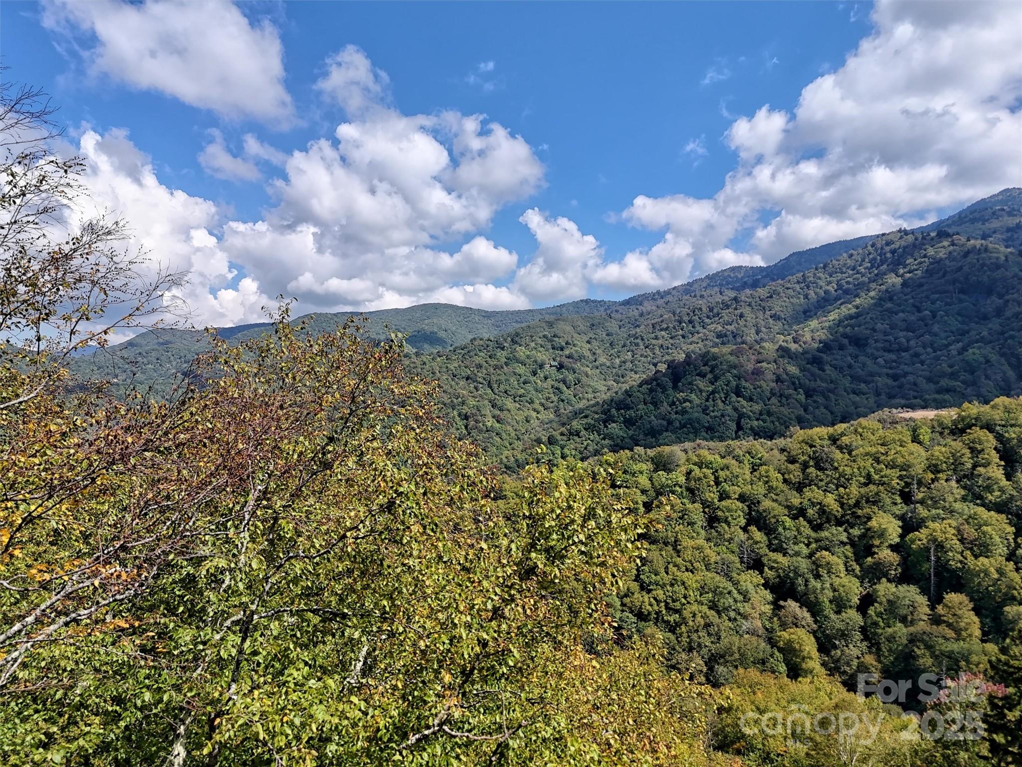 2 Black Rock Road Maggie Valley, NC 28751 - Photo 7 of 19 a view of a bunch of trees