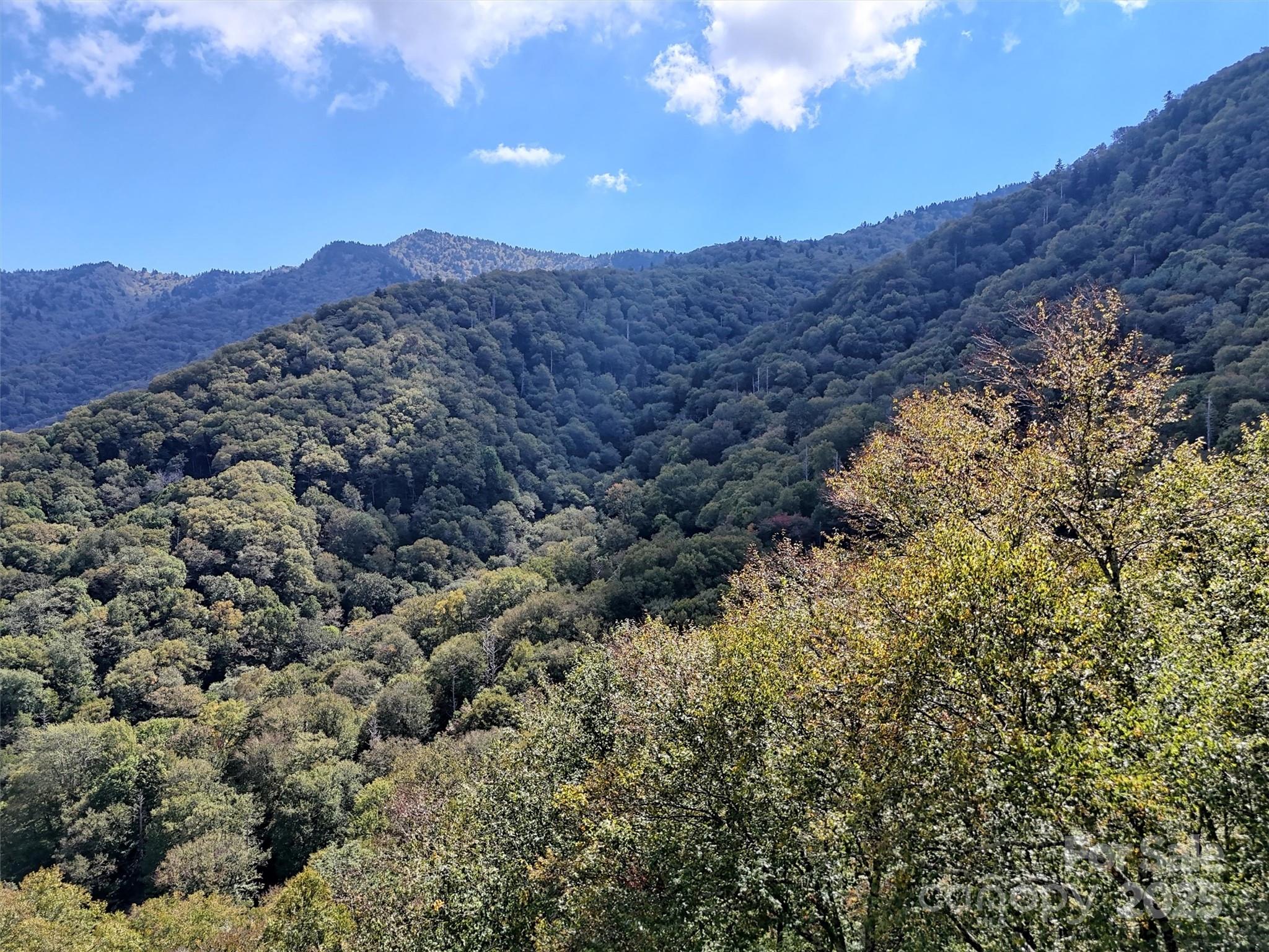 2 Black Rock Road Maggie Valley, NC 28751 - Photo 9 of 19 a view of a house with a mountain in the background