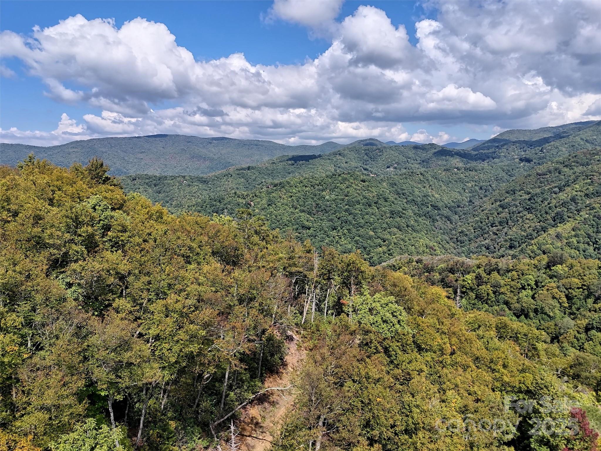2 Black Rock Road Maggie Valley, NC 28751 - Photo 10 of 19 a view of a bunch of trees and bushes