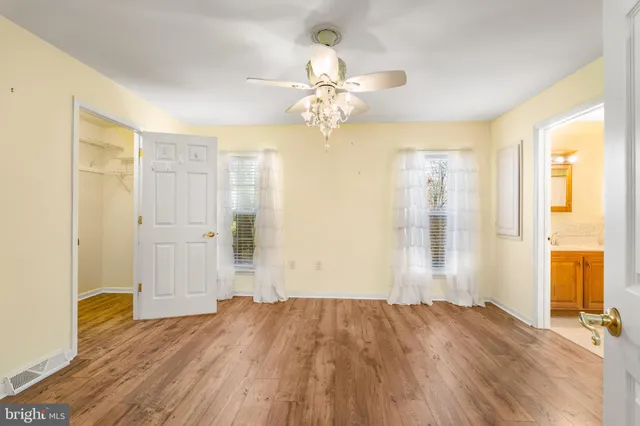 a view of a forest filled with trees