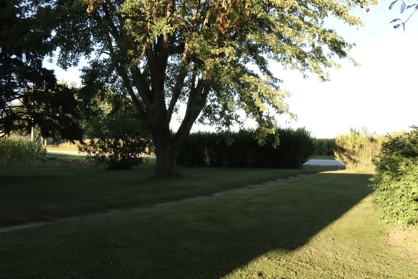 1745 Tampico Road Tampico, IL 61283 - Photo 25 of 35