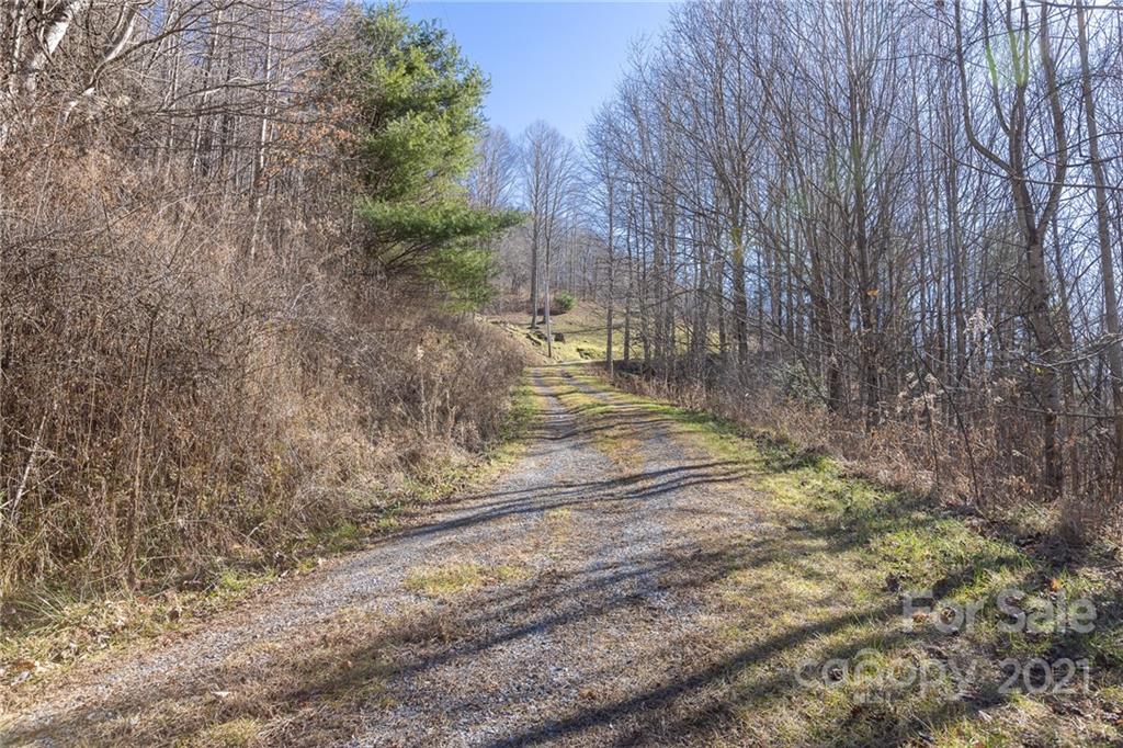 2327 Wesley Creek Road Clyde, NC 28721 - Photo 26 of 29