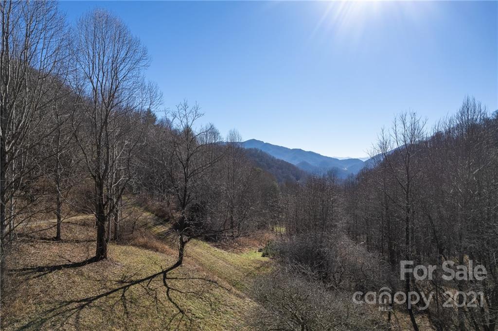 2327 Wesley Creek Road Clyde, NC 28721 - Photo 28 of 29