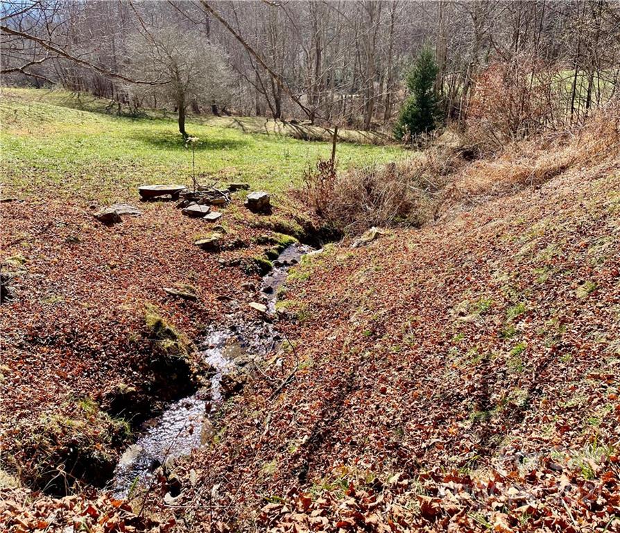 2327 Wesley Creek Road Clyde, NC 28721 - Photo 10 of 29