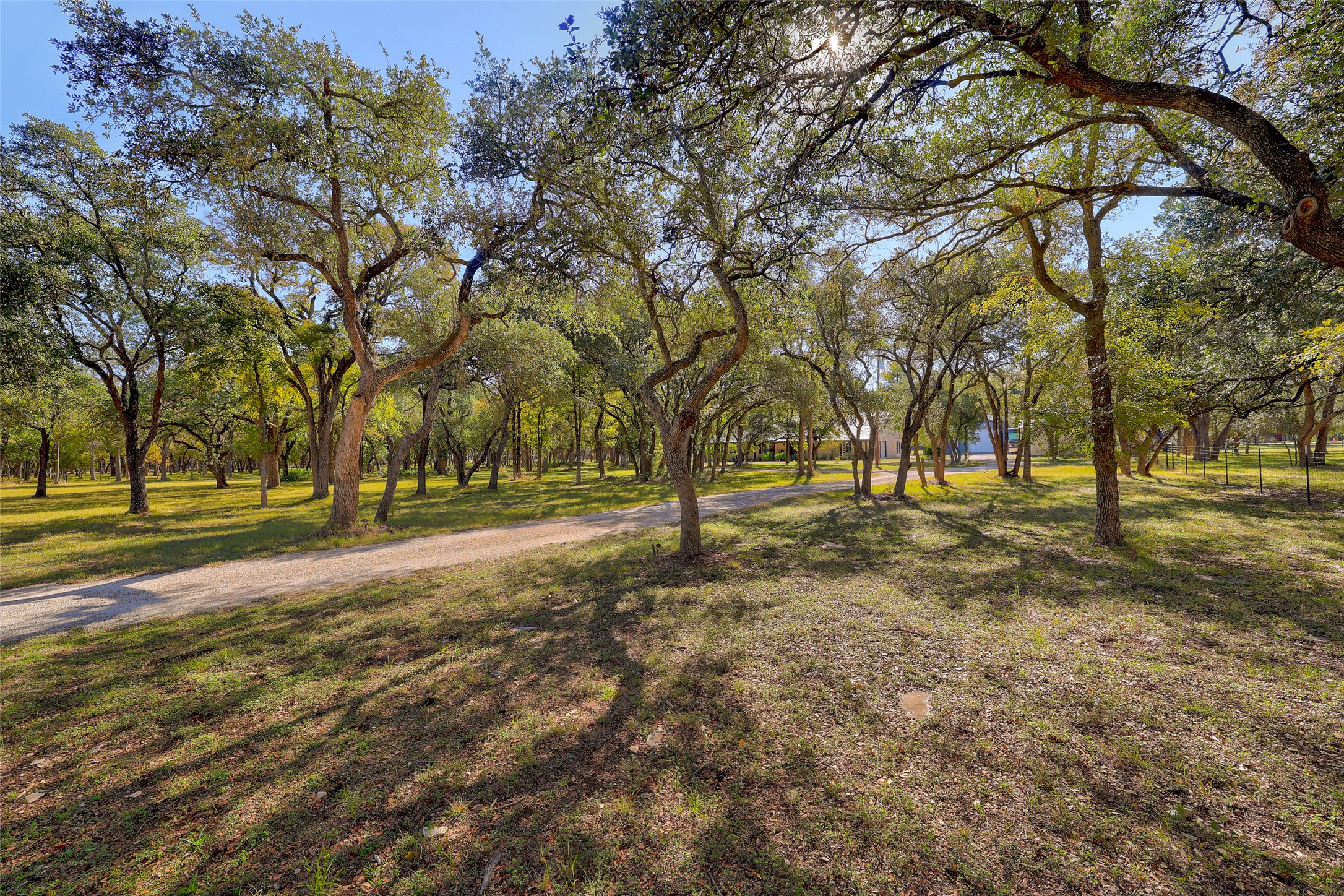 30309 Live Oak Trail Georgetown, TX 78633 - Photo 38 of 40