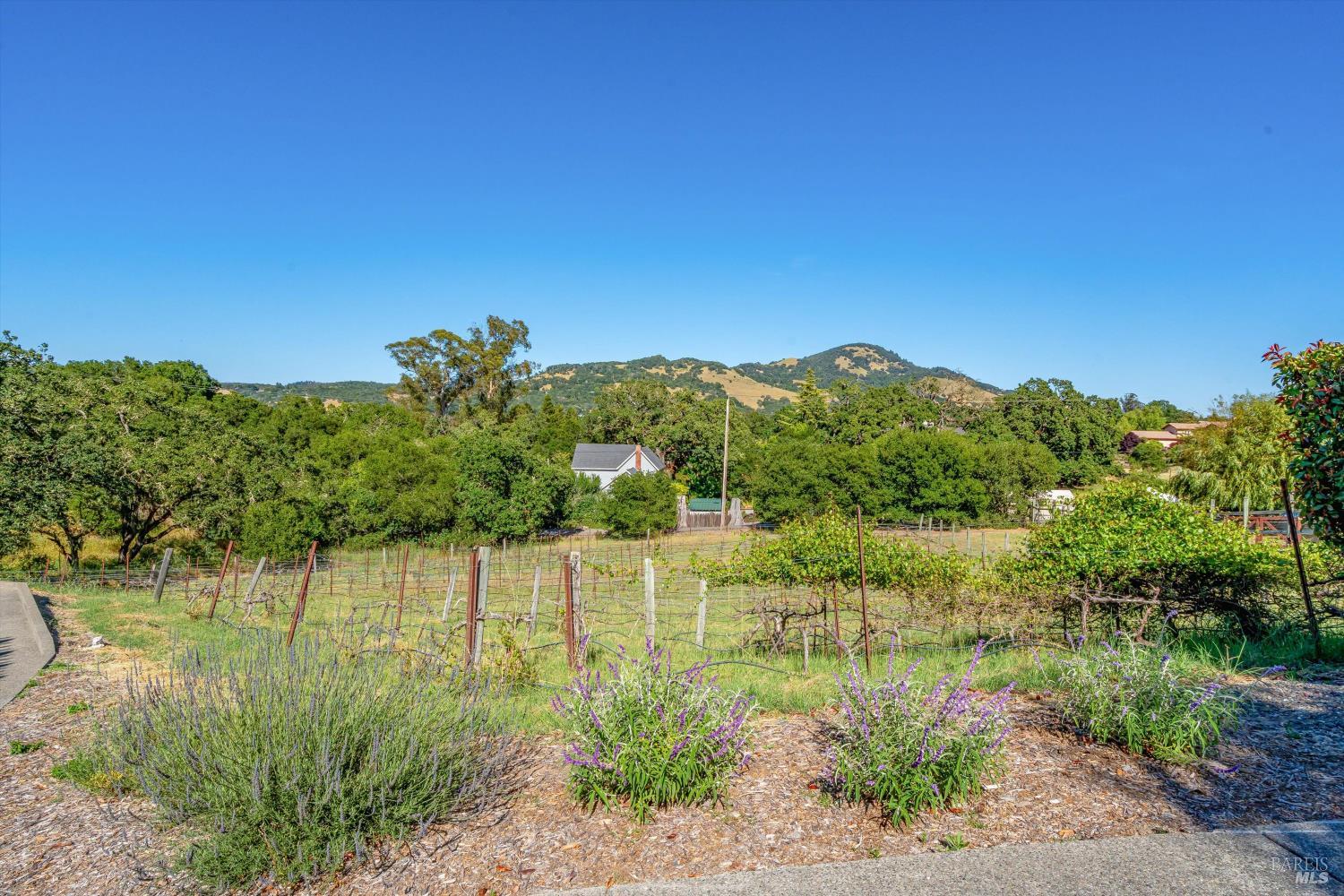 4548 Fable Court Santa Rosa, CA 95404 - Photo 37 of 55