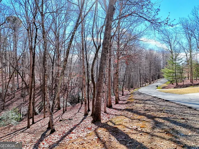 a view of a yard with trees