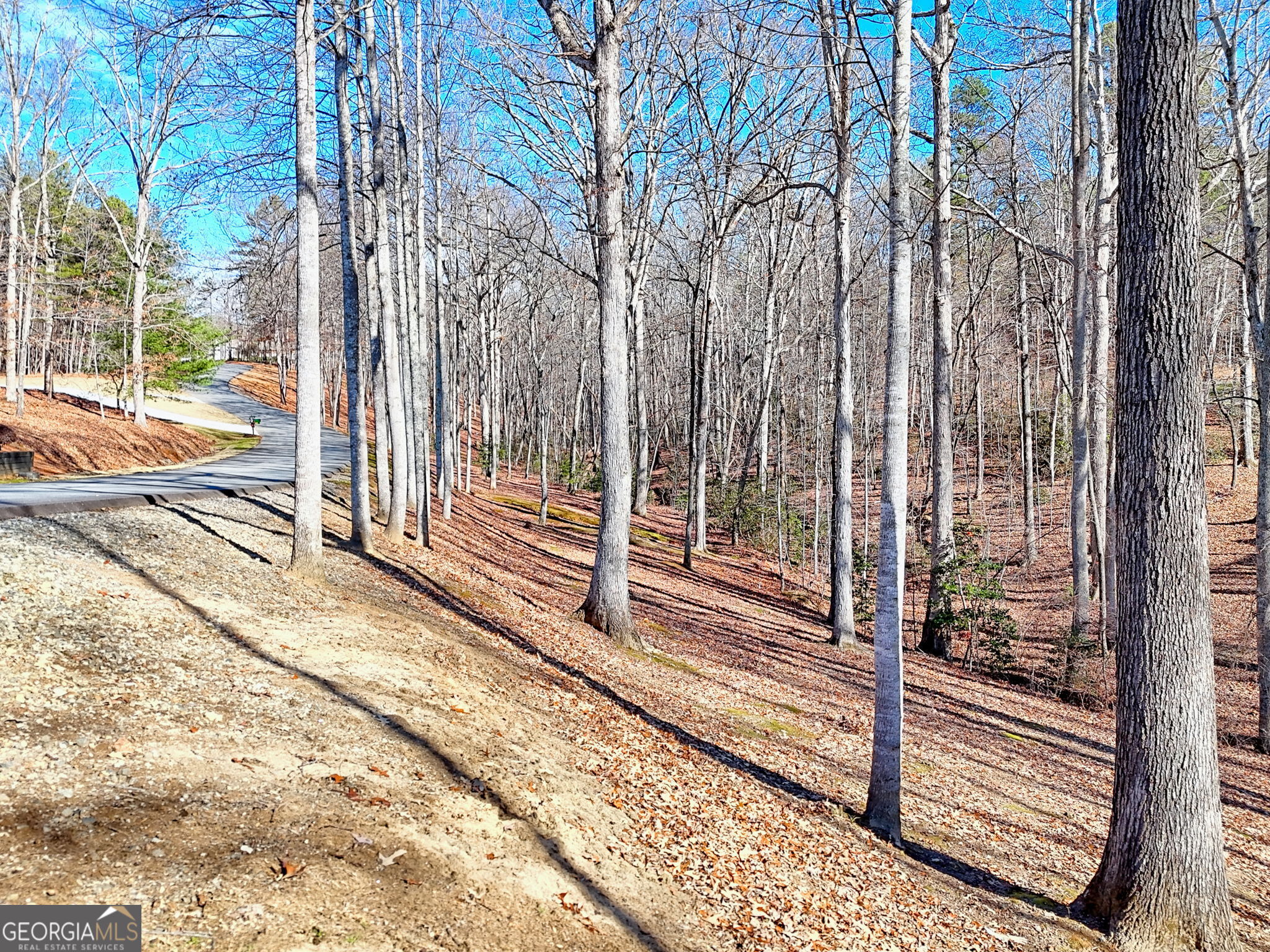 0 Rome Beauty Lane, Unit 1106 Clarkesville, GA 30523 - Photo 12 of 17 a view of a wooden floor next to a yard