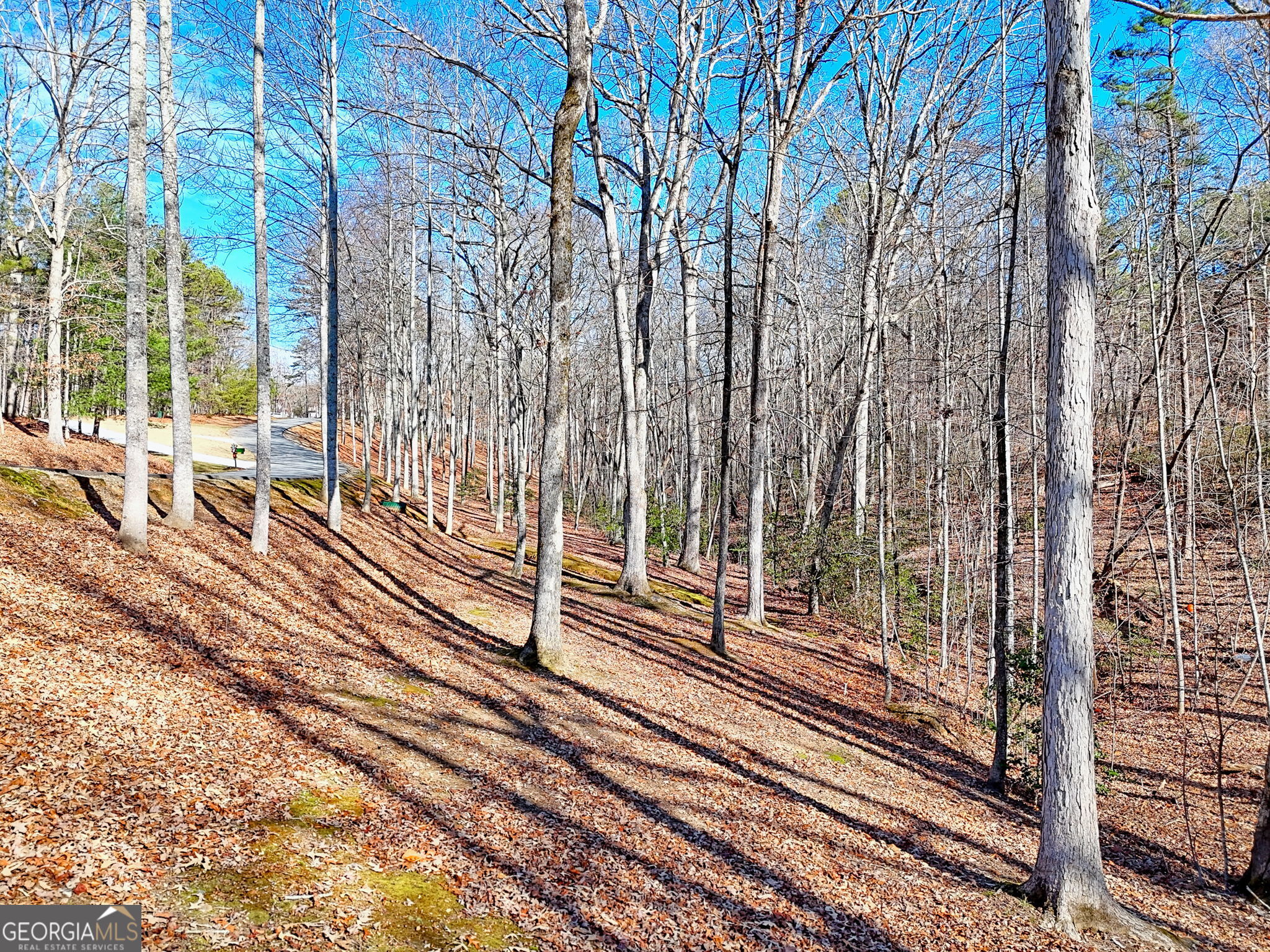 0 Rome Beauty Lane, Unit 1106 Clarkesville, GA 30523 - Photo 13 of 17 a view of a train yard