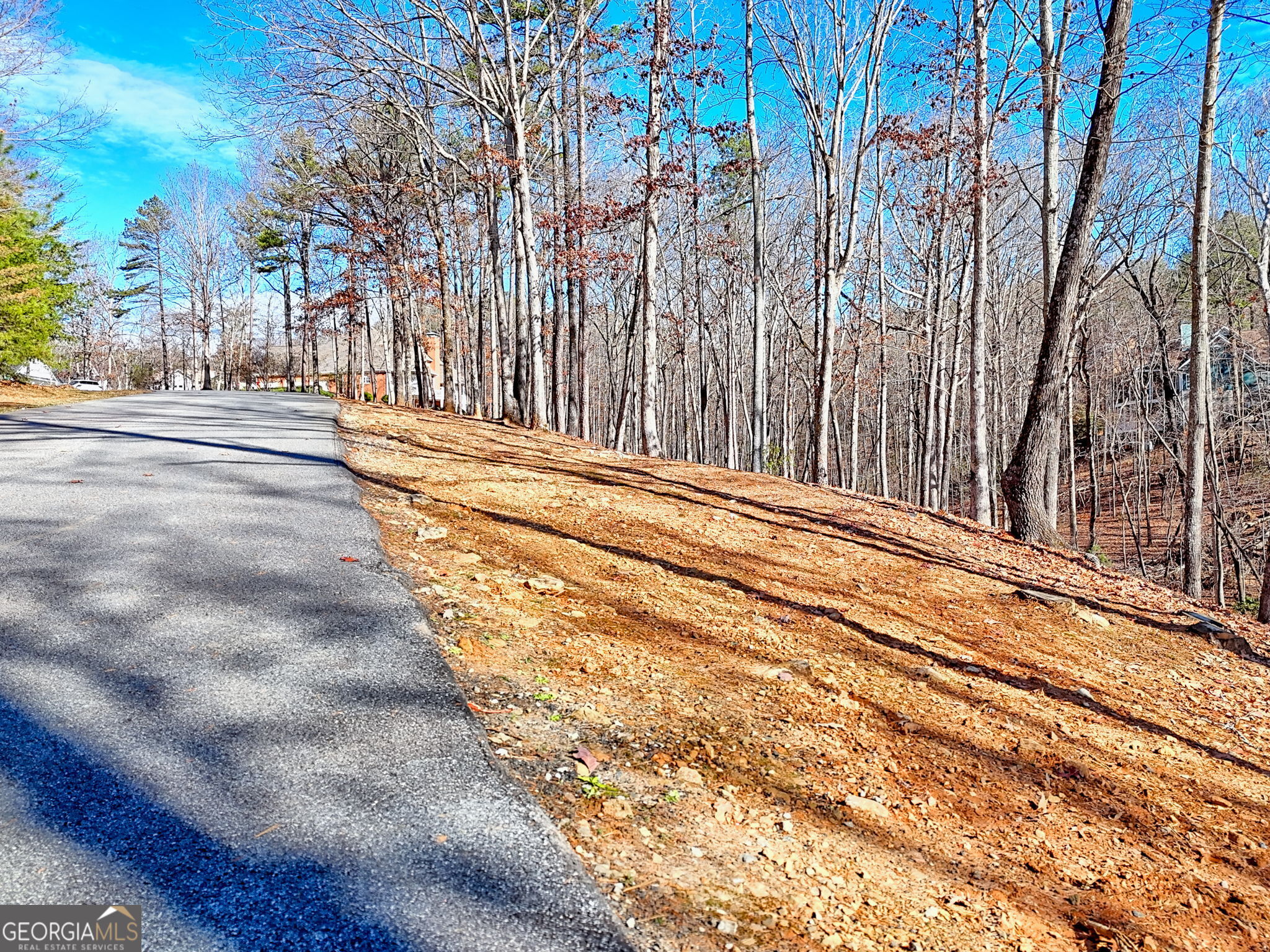0 Rome Beauty Lane, Unit 1106 Clarkesville, GA 30523 - Photo 3 of 17 a view of a backyard of the house
