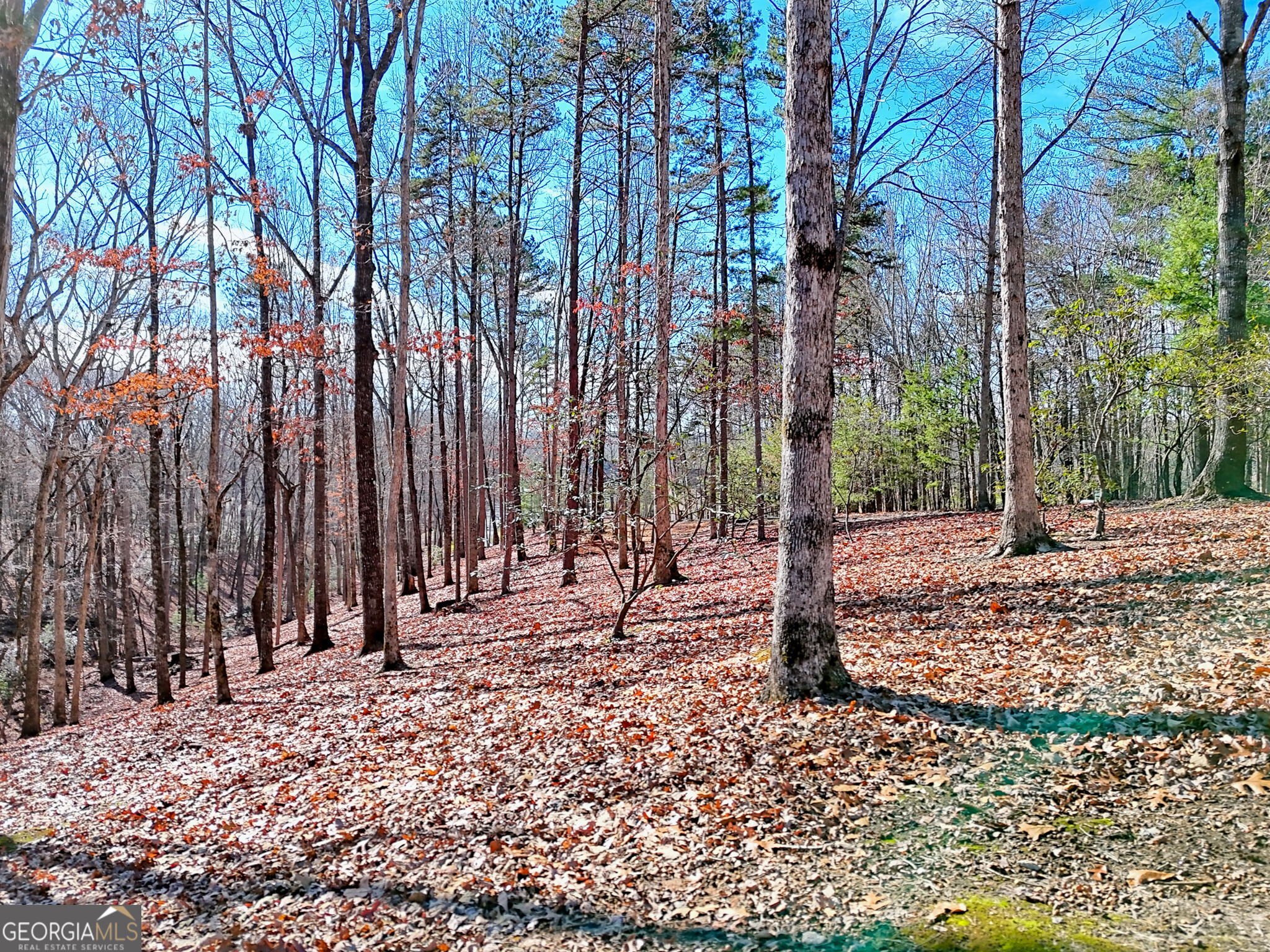 0 Rome Beauty Lane, Unit 1106 Clarkesville, GA 30523 - Photo 5 of 17 a view of outdoor space with trees