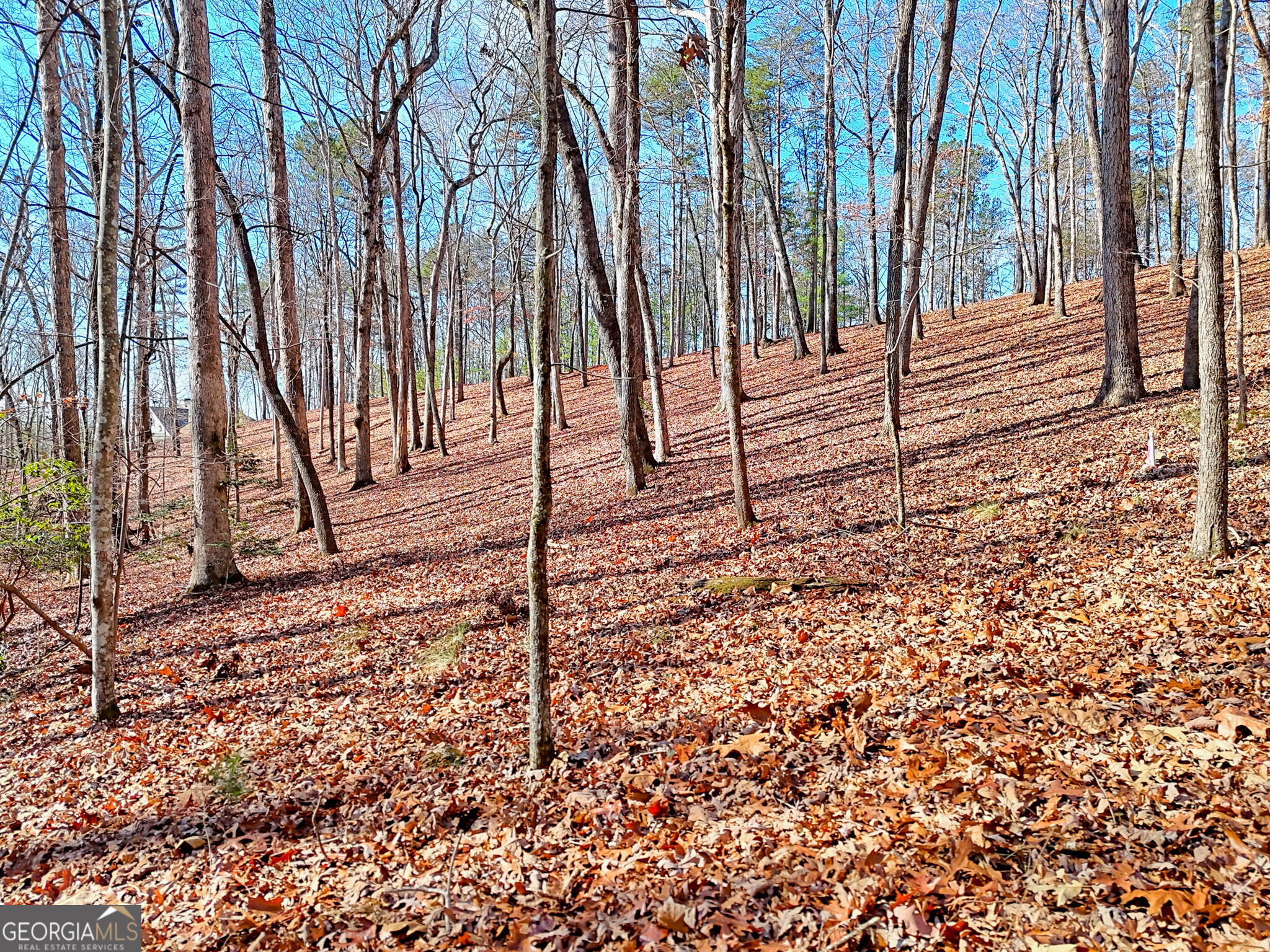 0 Rome Beauty Lane, Unit 1106 Clarkesville, GA 30523 - Photo 6 of 17 a backyard of a house with lots of green space