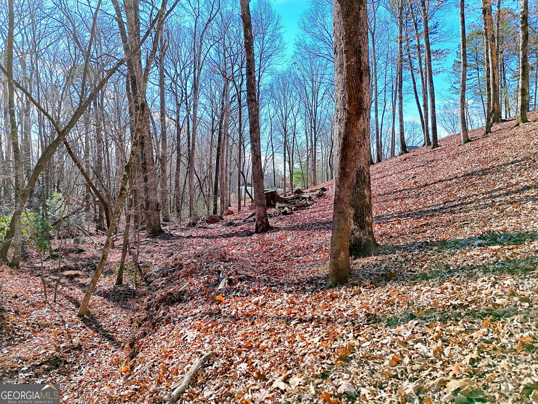 0 Rome Beauty Lane, Unit 1106 Clarkesville, GA 30523 - Photo 8 of 17 a view of a backyard of the house