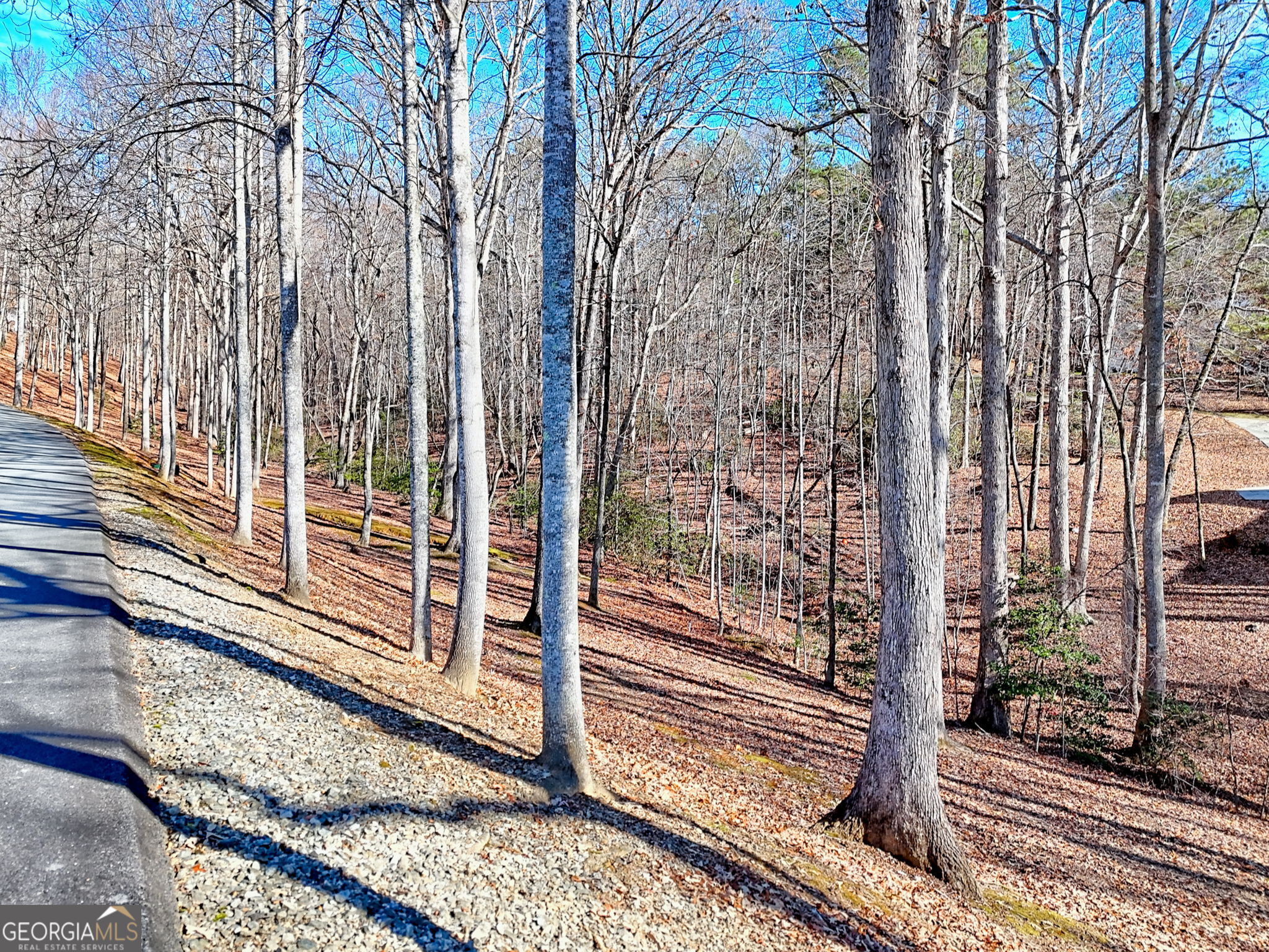 0 Rome Beauty Lane, Unit 1106 Clarkesville, GA 30523 - Photo 9 of 17 a view of a balcony with wooden floor and fence