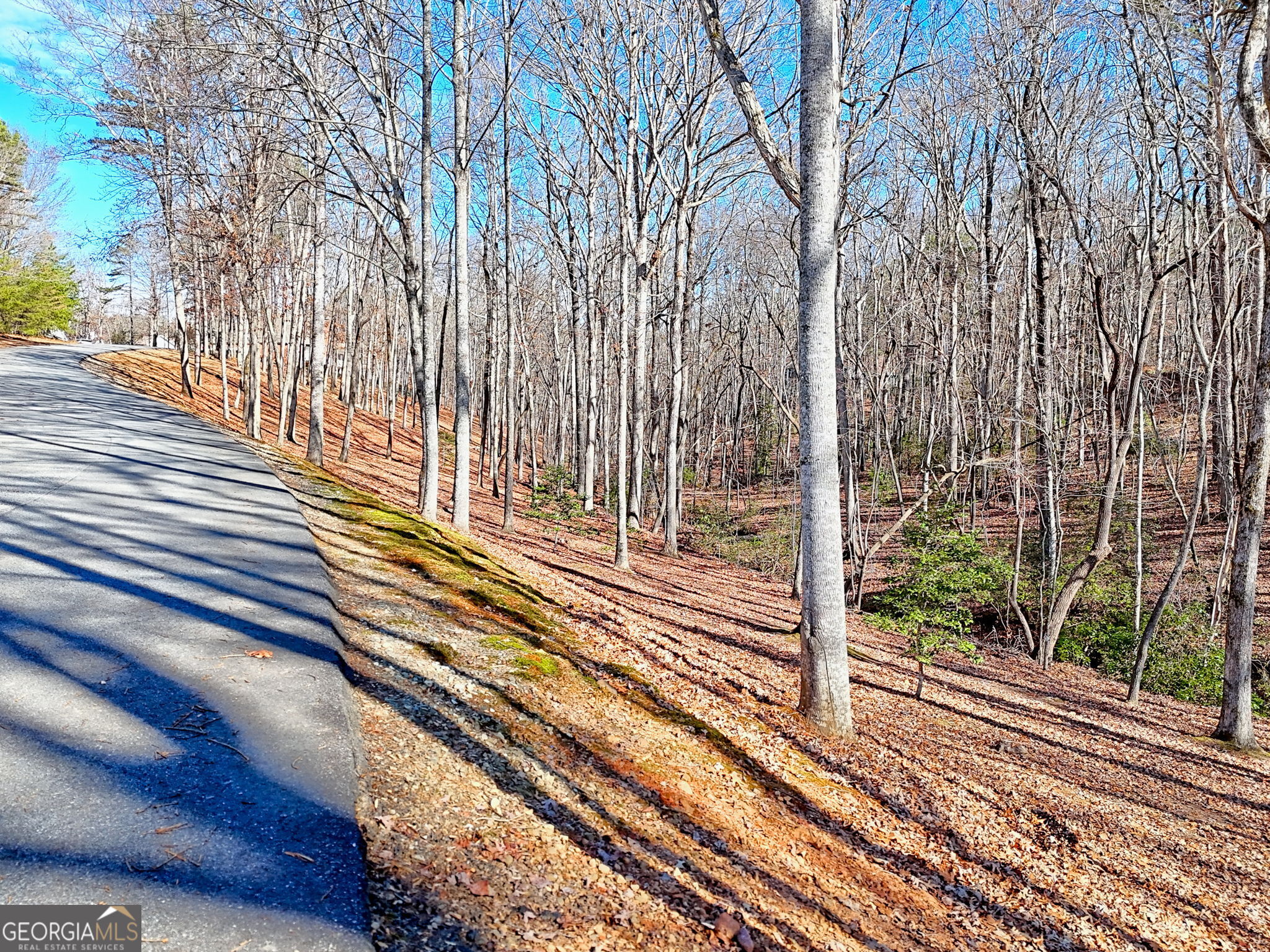 0 Rome Beauty Lane, Unit 1106 Clarkesville, GA 30523 - Photo 10 of 17 a view of a balcony with a trees
