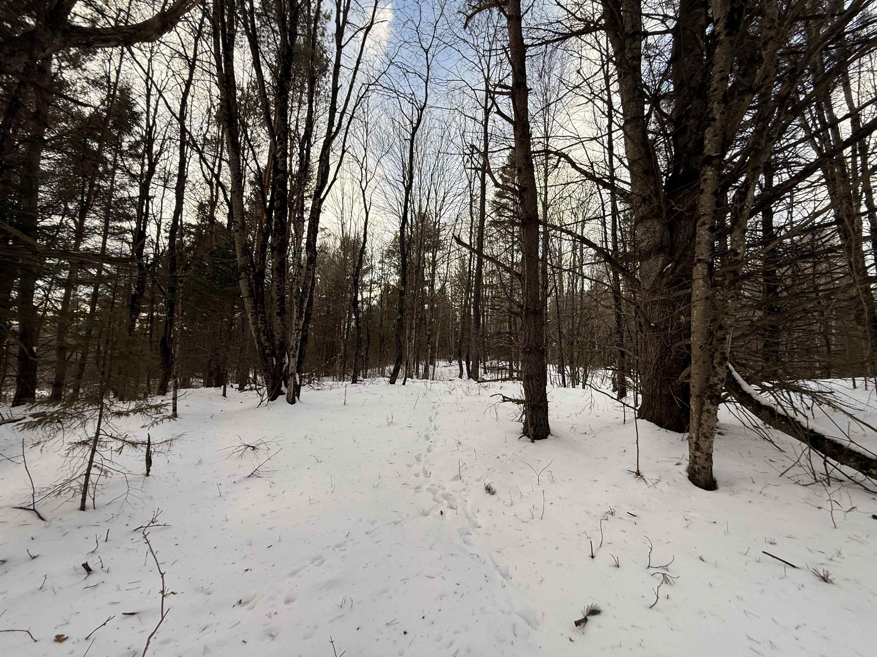 0 Darling Hill Road, Unit LOT 2 Lyndonville, VT 05851 - Photo 15 of 19