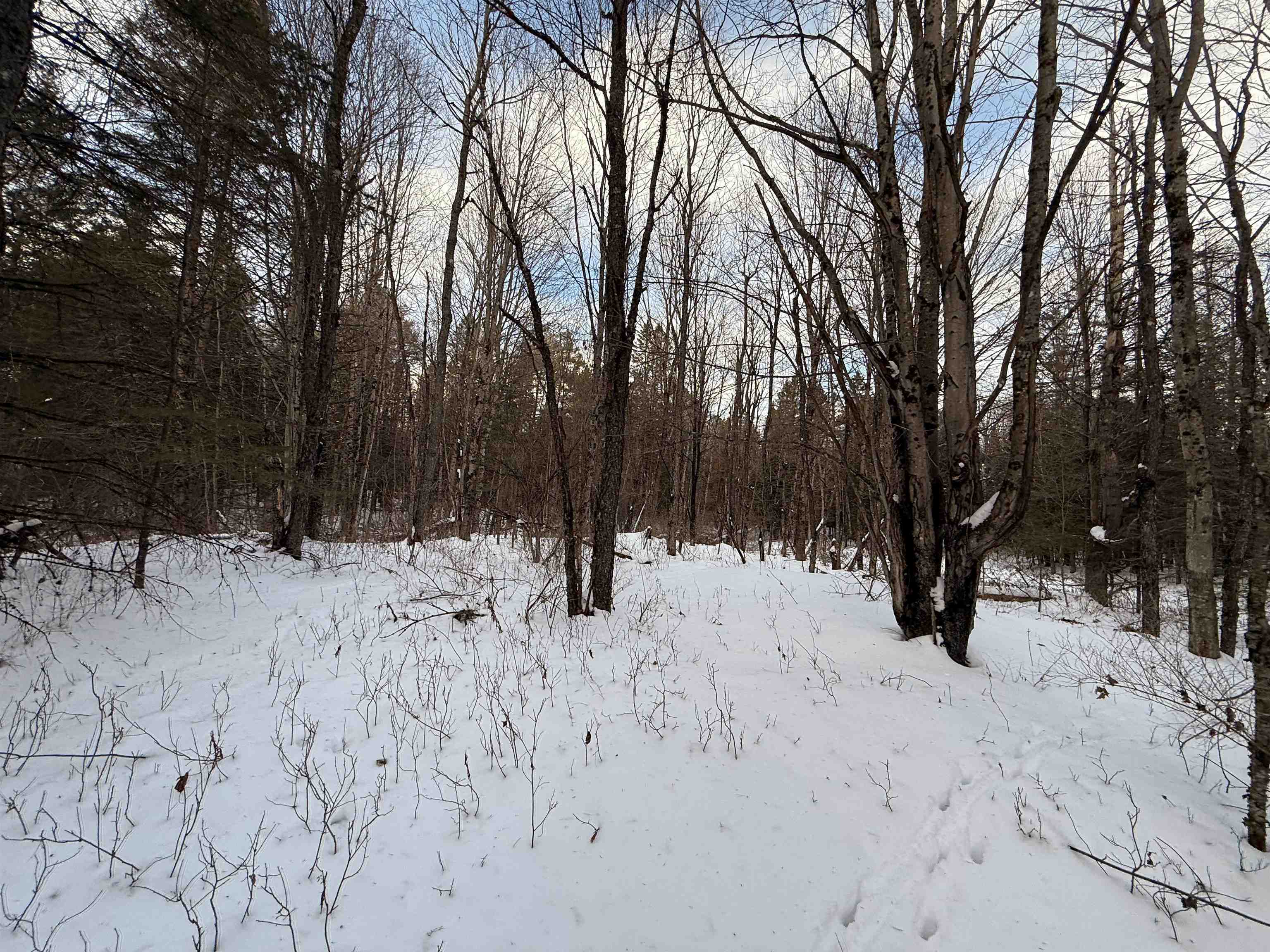 0 Darling Hill Road, Unit LOT 2 Lyndonville, VT 05851 - Photo 16 of 19