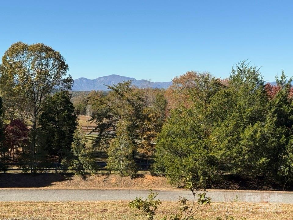 6 Rachel Bell Road Mill Spring, NC 28756 - Photo 2 of 41 a view of a yard with a tree