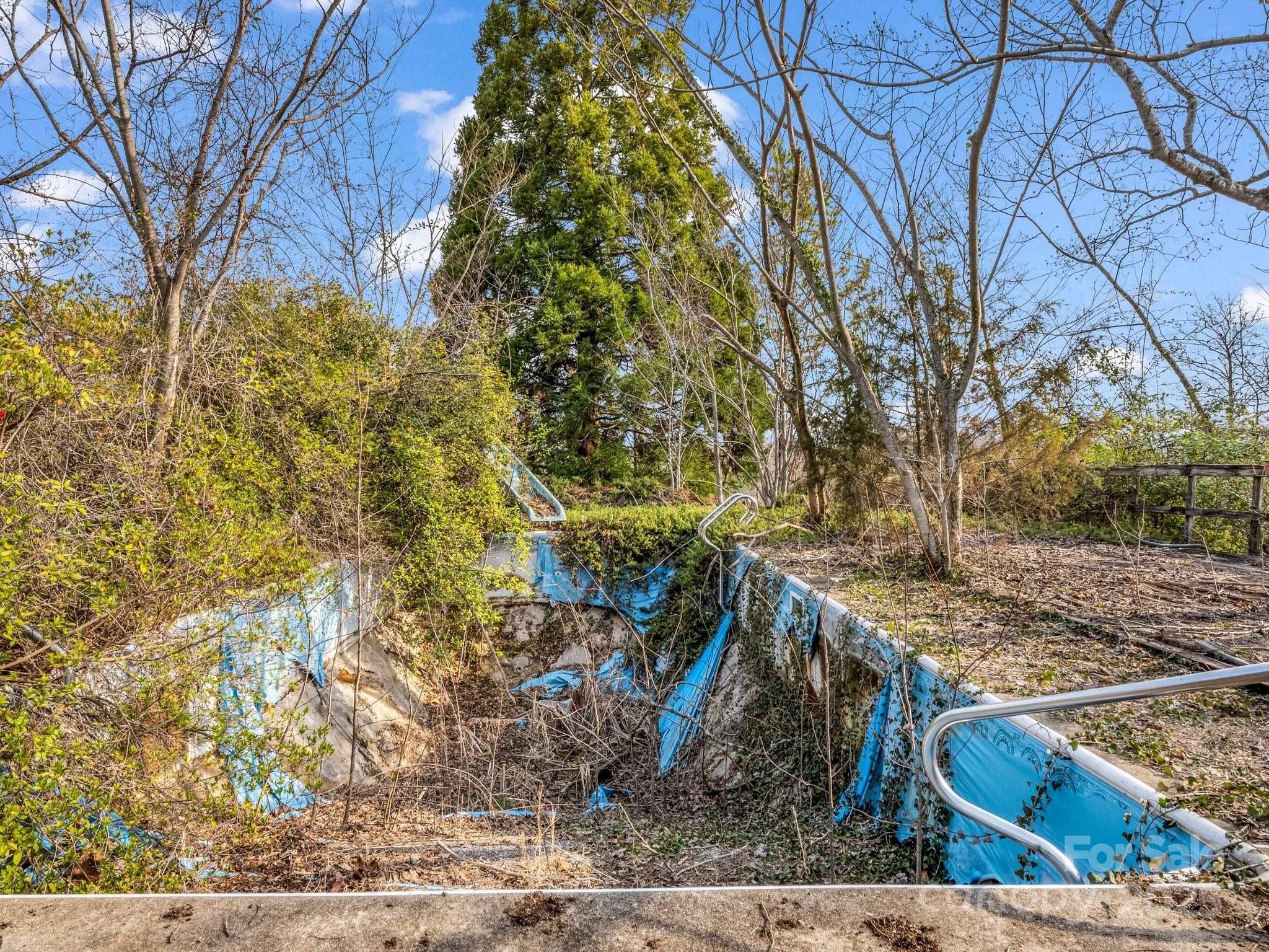 6 Rachel Bell Road Mill Spring, NC 28756 - Photo 31 of 41 a view of a yard with plants and trees