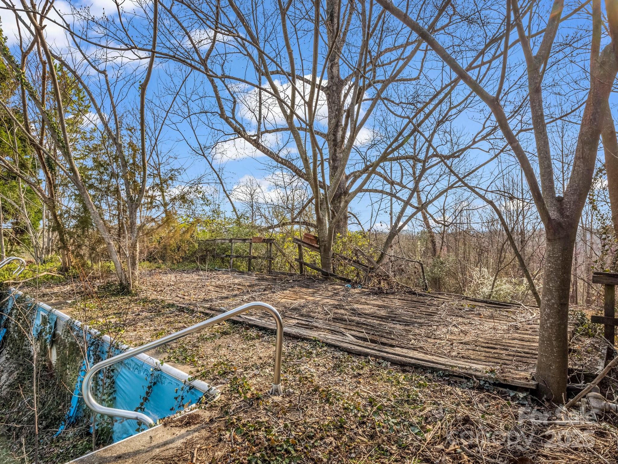 6 Rachel Bell Road Mill Spring, NC 28756 - Photo 32 of 41 a view of a yard with a tree