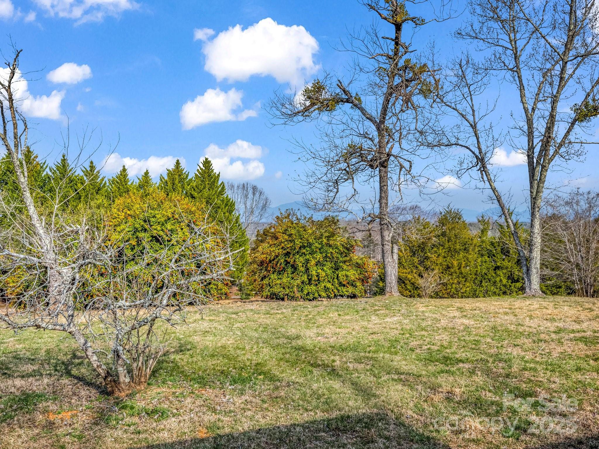 6 Rachel Bell Road Mill Spring, NC 28756 - Photo 6 of 41 a view of yard with trees
