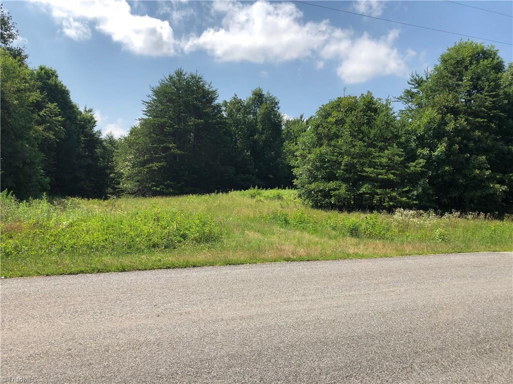 0 Landreth Road Madison, NC 27025 - Photo 3 of 3 Gallery Image 3