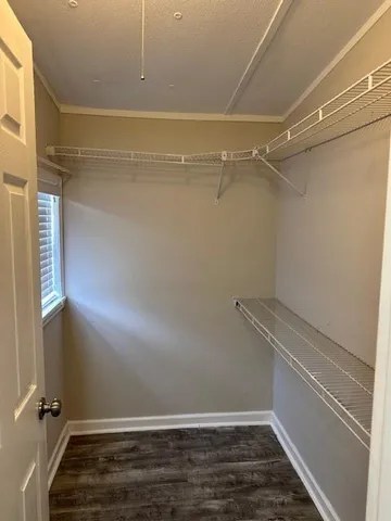 a view of room with racks on the wall