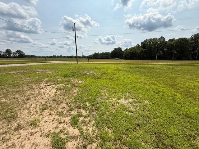 $125,000 | 330 Nash Landing Lane, Counce, TN 38326