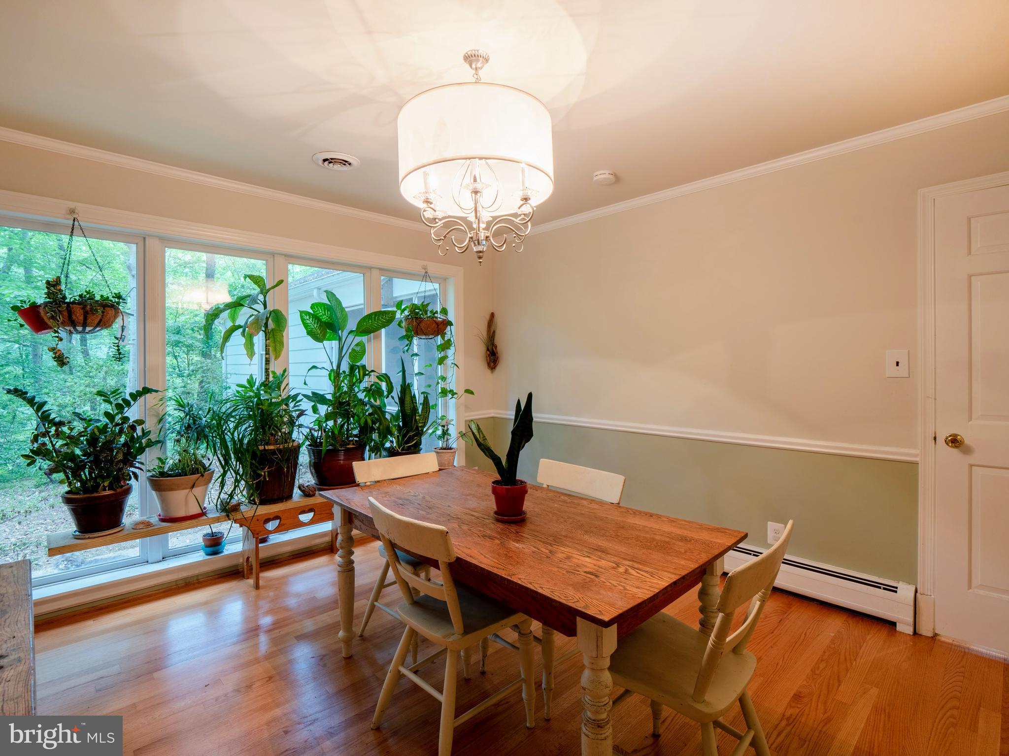 3030 Powder Mill Road Hyattsville, MD 20783 - Photo 4 of 41 Gallery Image 4