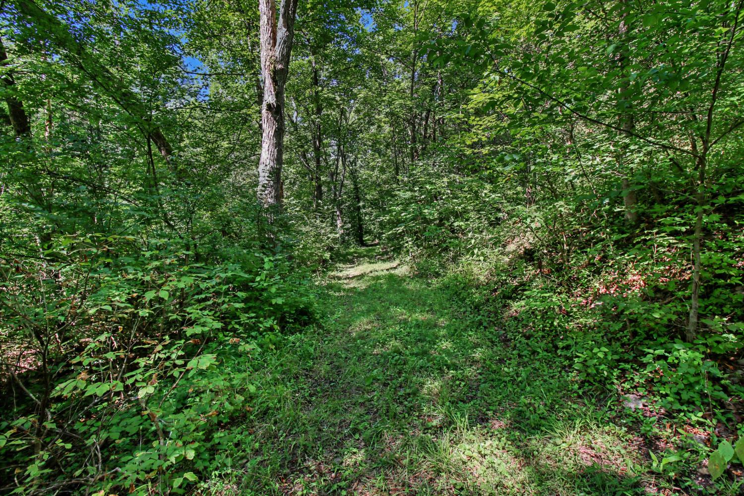 0 Bascom Corner Road Rising Sun, IN 47040 - Photo 22 of 32 Gallery Image 22