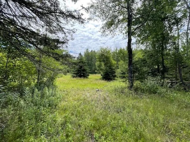 $250,000 | Lot 23 Sunset Point Road, Steuben, ME 04680