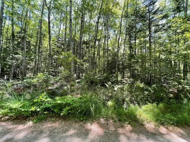 $250,000 | Lot 23 Sunset Point Road, Steuben, ME 04680