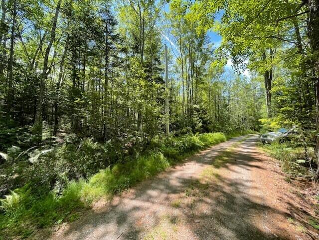 Lot 23 Sunset Point Road Steuben, ME 04680 - Photo 7 of 8 thumbnail_IMG_4534