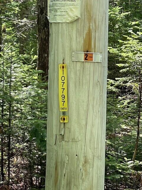 Lot 23 Sunset Point Road Steuben, ME 04680 - Photo 8 of 8 thumbnail_IMG_4535