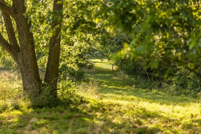 $650,000 | 701 North Bly Road, Independence, MO 64056