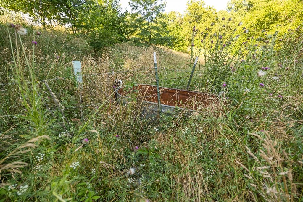 701 North Bly Road Independence, MO 64056 - Photo 35 of 52