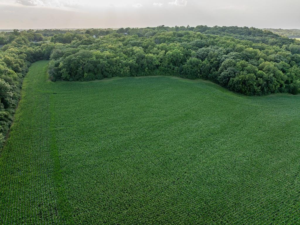 701 North Bly Road Independence, MO 64056 - Photo 6 of 52