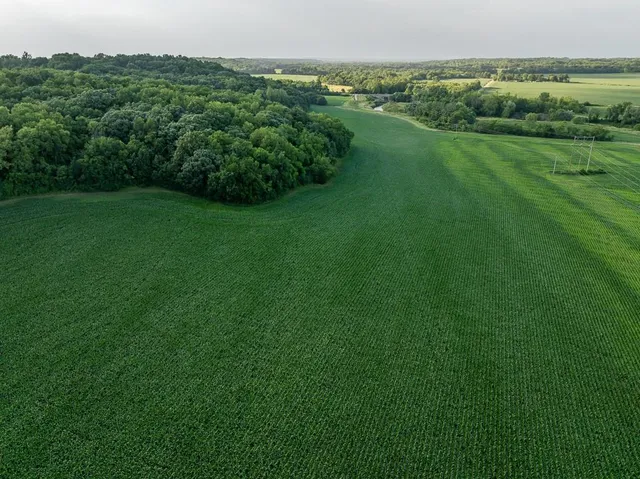 $650,000 | 701 North Bly Road, Independence, MO 64056