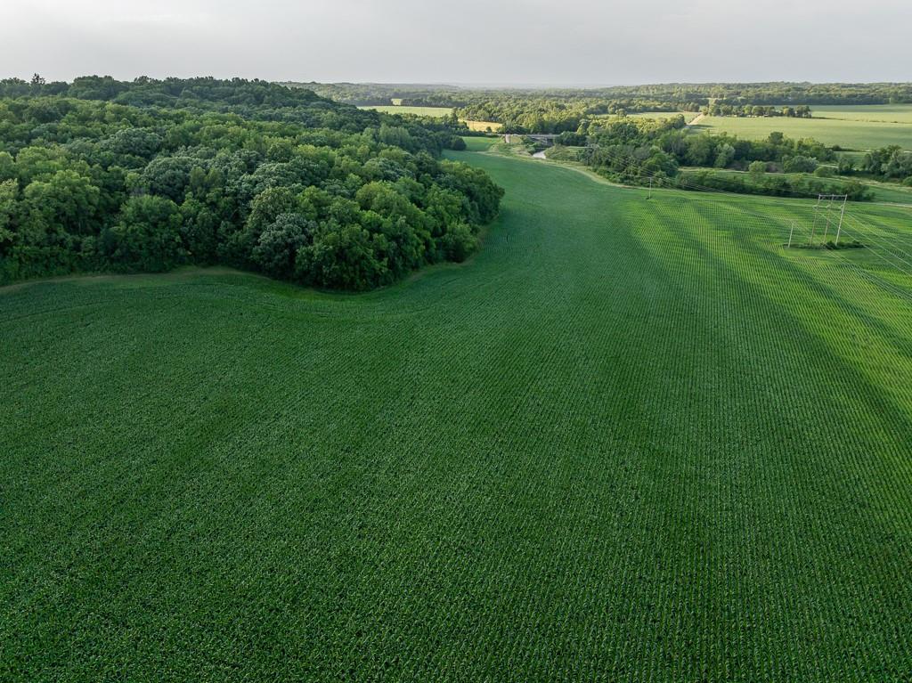 701 North Bly Road Independence, MO 64056 - Photo 8 of 52