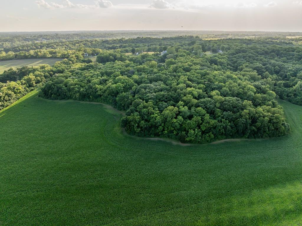 701 North Bly Road Independence, MO 64056 - Photo 9 of 52