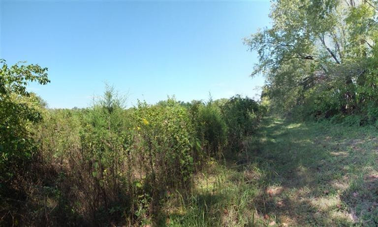 125 Patterson Road Versailles, KY 40383 - Photo 13 of 17 Interior farm road photo next to over gr